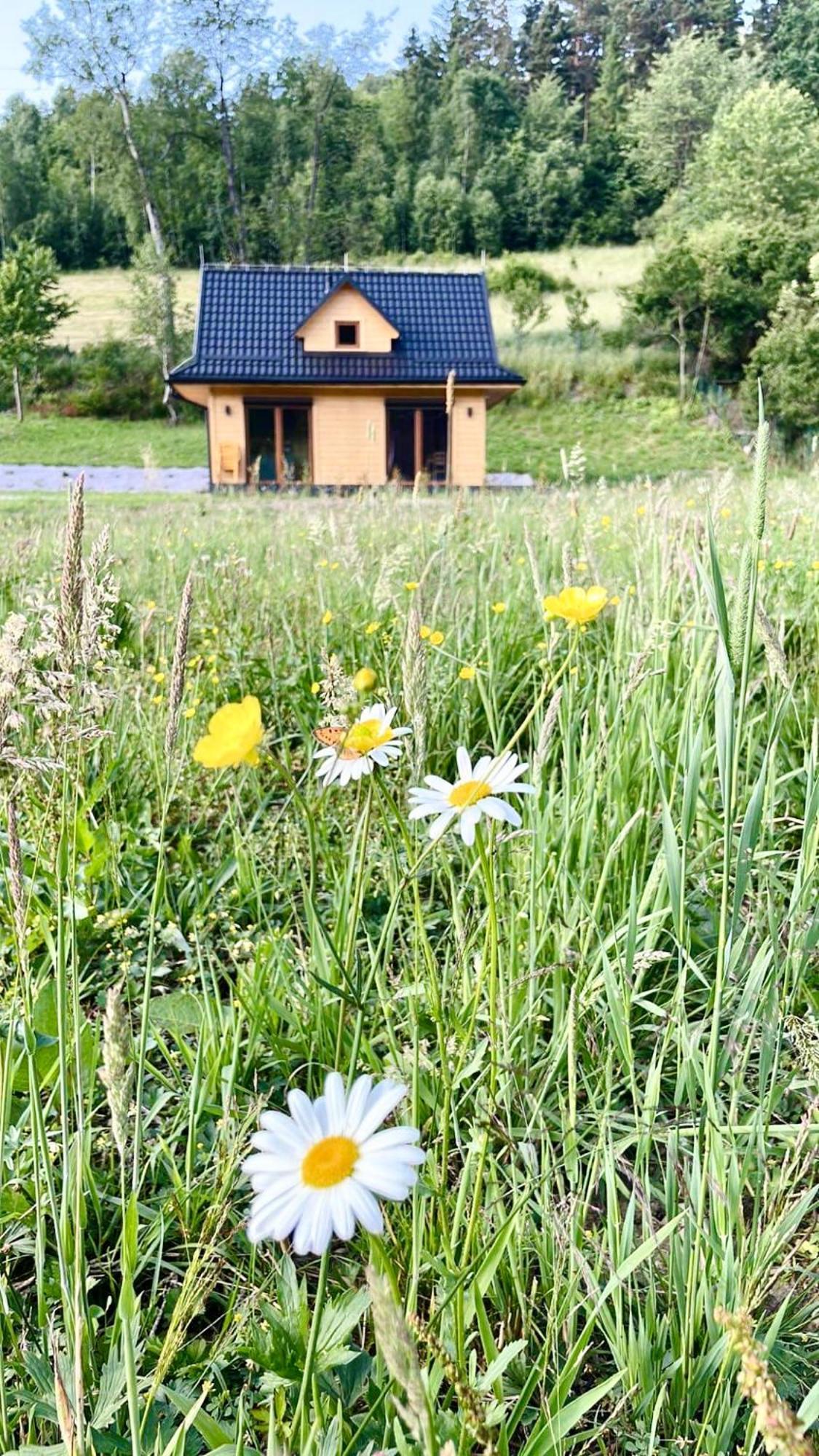 Domki Z Prywatna Sauna- Na Szlaku Milówka Exterior foto